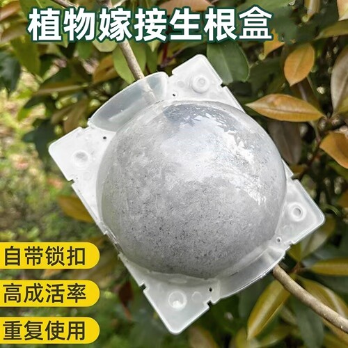 植物高压繁殖球扦插嫁接生根盒