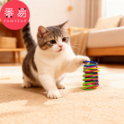 宠物玩具/弹簧A1pn008-宠物猫咪弹簧小玩具彩色逗猫解闷小猫玩具
