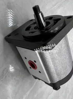 凯斯帕Casappa液压泵PLM PLP PLP 30 PLP20 PLP10 PLM20齿轮泵