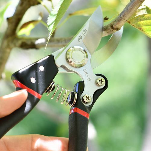 园艺省力细枝盆景修剪