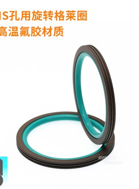 GNS孔用旋转格莱圈 耐高温氟胶材质密封圈 外径7-100mm