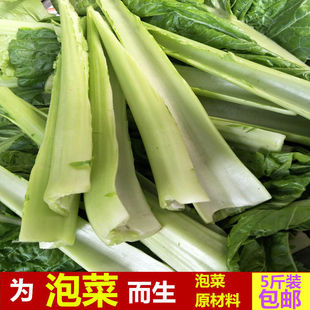 四川棒棒菜叶杆农家新鲜蔬菜芥菜青菜脑壳大头青菜杆泡菜专用原料
