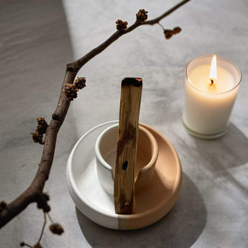 小众香薰托盘陶瓷圣木鼠尾草香插三合一燃烧盘Palo Santo Holder