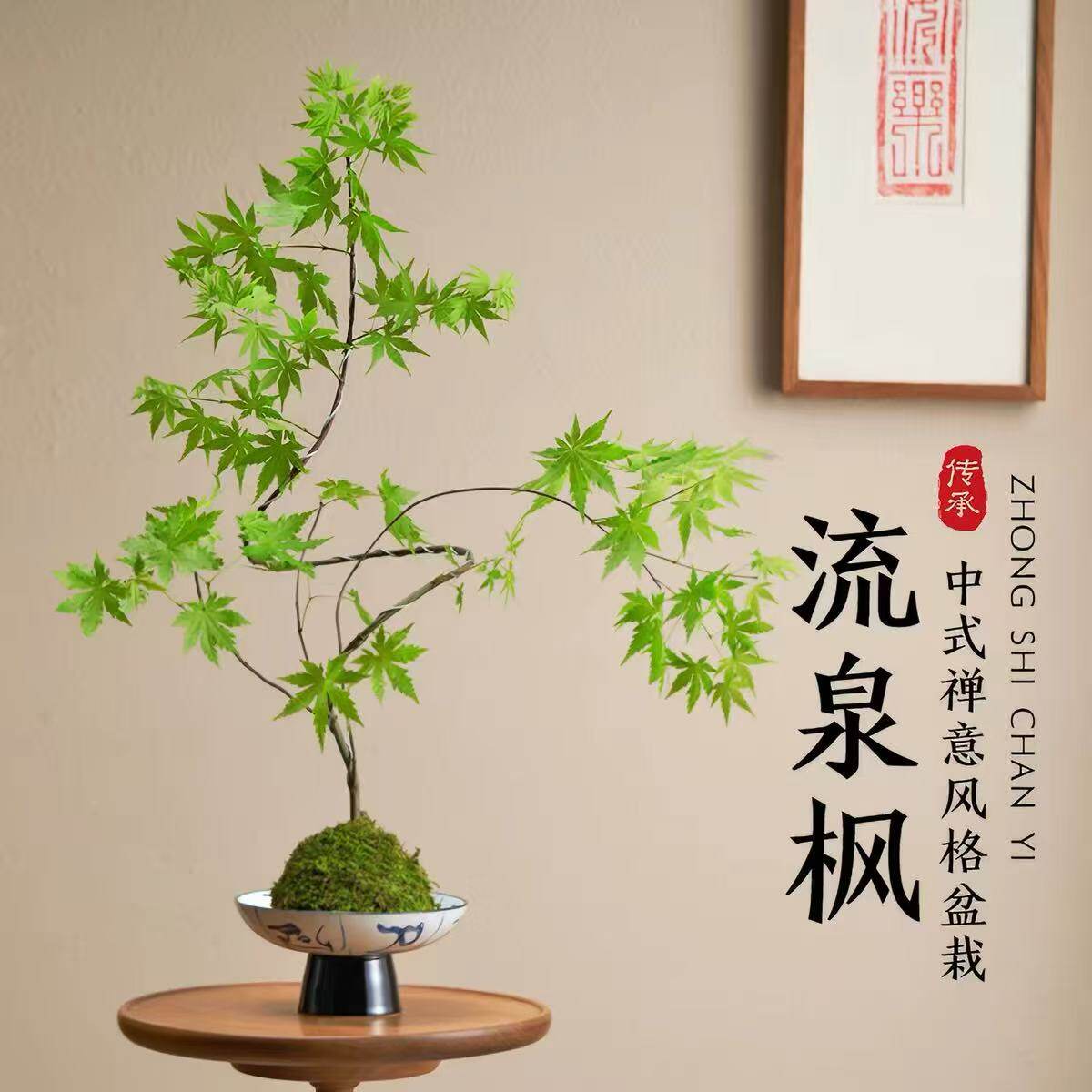 造型苔藓球流泉枫盆栽净化空气绿植中式禅意装饰摆件易养活盆景