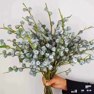 高品质云南新鲜尤加利果尤加利叶鲜花新鲜花材可做干花水培好养