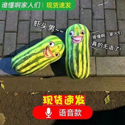 创意钥匙扣家人们谁懂啊西瓜条语音特效挂件恶搞笑嘴发声玩具玩偶