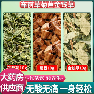 车前草菊苣广金钱草各10克g中药材组合茶包正品车钱草菊巨泡水喝