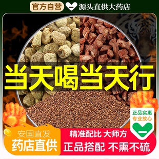 覆盆子丹参菟丝子中药材组合茶包5g6克正品兔丝子履盘子泡水黄精