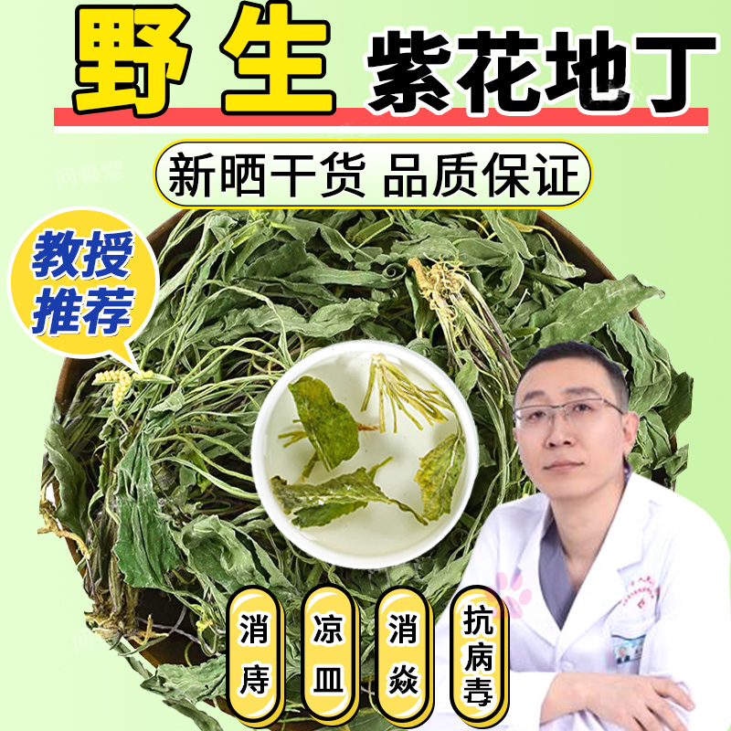 紫花地丁中药材茶包30克正品离头草野生新鲜干货坐浴痔疮泡水功效