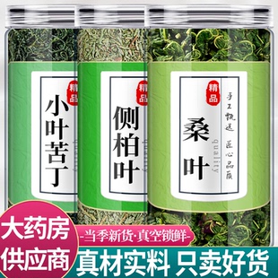 苦丁茶侧柏叶桑叶中药材组合茶包正品小叶苦丁桑叶粒野生泡水喝和