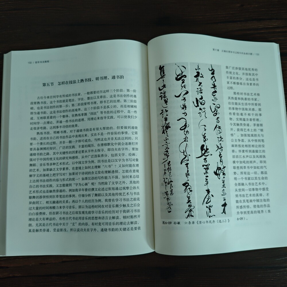 老年书法教程书法入门方法步骤笔法字法章法墨法创作书法临摹