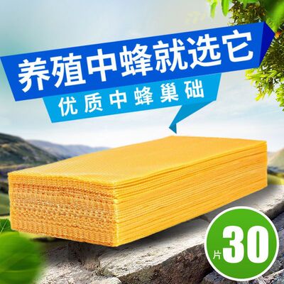 中蜂巢础专用蜂蜡蜂巢蜜蜂蜡片标准养蜂巢基皮巢脾巢皮深房中蜂箱