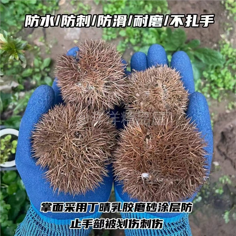 防刺防水园艺手套园林种植种花种植手套花艺防扎种菜拔草园艺手套