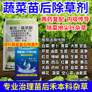 阔叶蔬菜专用禾本科除草剂白菜油菜大葱菠菜禾本科内吸除草送助剂