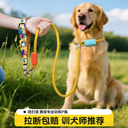 赛级P链P绳狗狗牵引绳项圈式防爆冲大中小型犬训练遛狗绳子栓狗链
