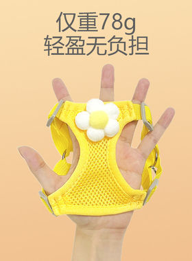 日式网面透气小狗狗牵引绳胸背带防挣脱夏季凉外出遛狗绳链
