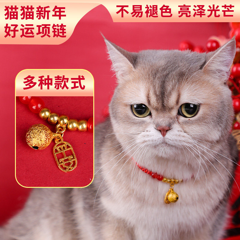 猫咪随机红绳项圈新年无声项链小狗脖圈宠物装饰过年礼物可爱围脖,宠物/宠物食品及用品,项圈/肩带,淘宝优惠券,粉丝福利购,淘宝优惠卷