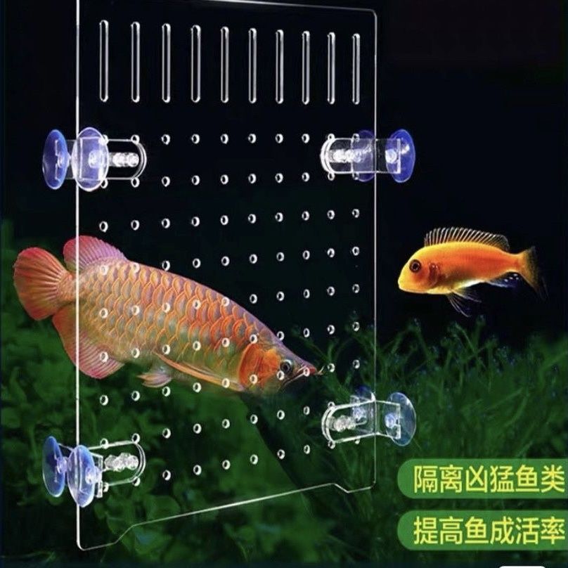 鱼缸内隔离网挡板亚克力