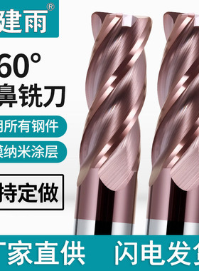 建雨60度4刃圆鼻铣刀钨钢铣刀牛鼻刀紫色涂层钨钢合金铣刀CNC刀具