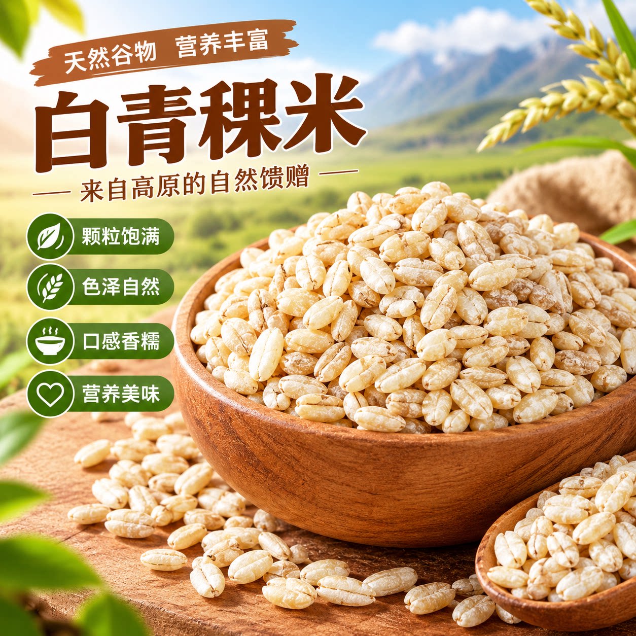 青海高原白青稞正宗青稞米优质谷物麦仁米五谷杂粮煮粥新鲜批发