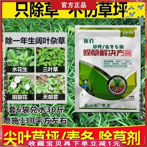 麦冬专用除草剂草坪马尼拉黑麦草