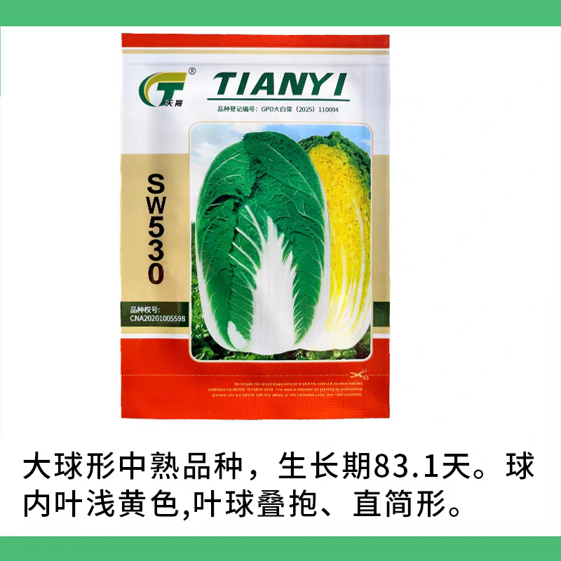 大白菜种籽金翡翠黄心大白菜种子