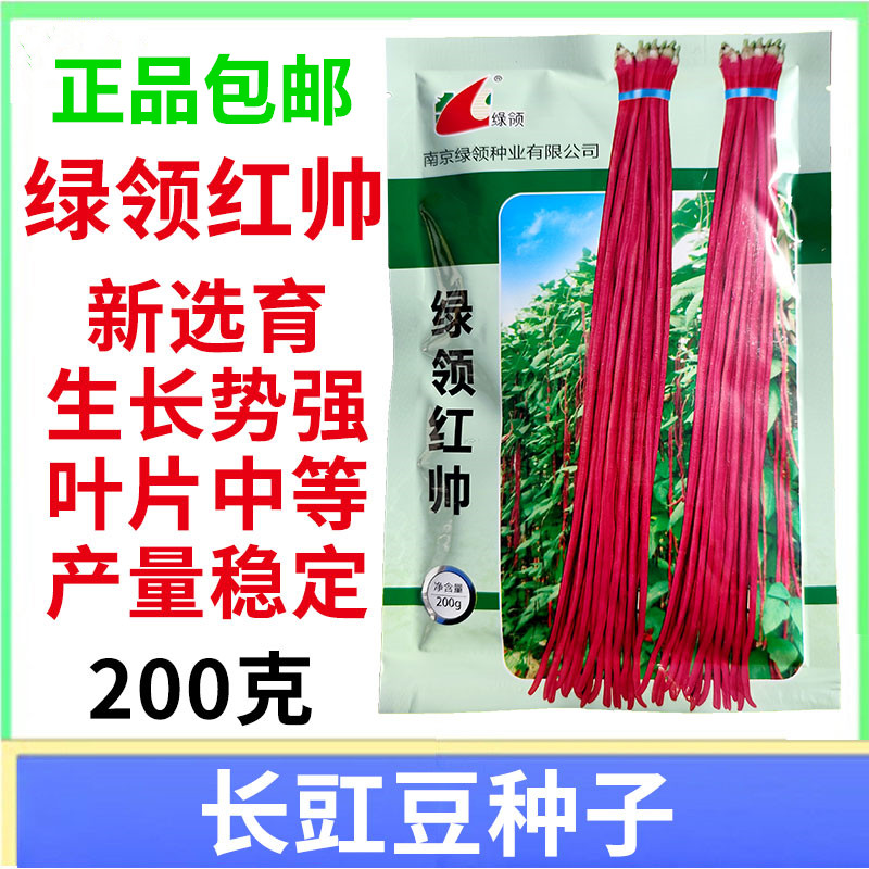 红豆角种籽孑绿领红帅豇豆种子字