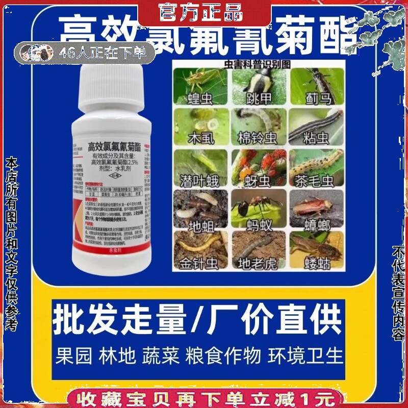 高效氯氟氰菊酯果树小麦玉米花卉槟榔药材瓜蒌杀虫剂毛虫刺蛾青虫