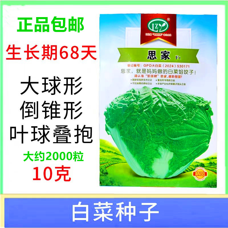 高产叠包正品10克抗病大白菜种子