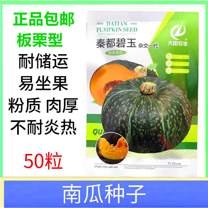 秦都碧玉南瓜种子蔬菜种籽孑抗病
