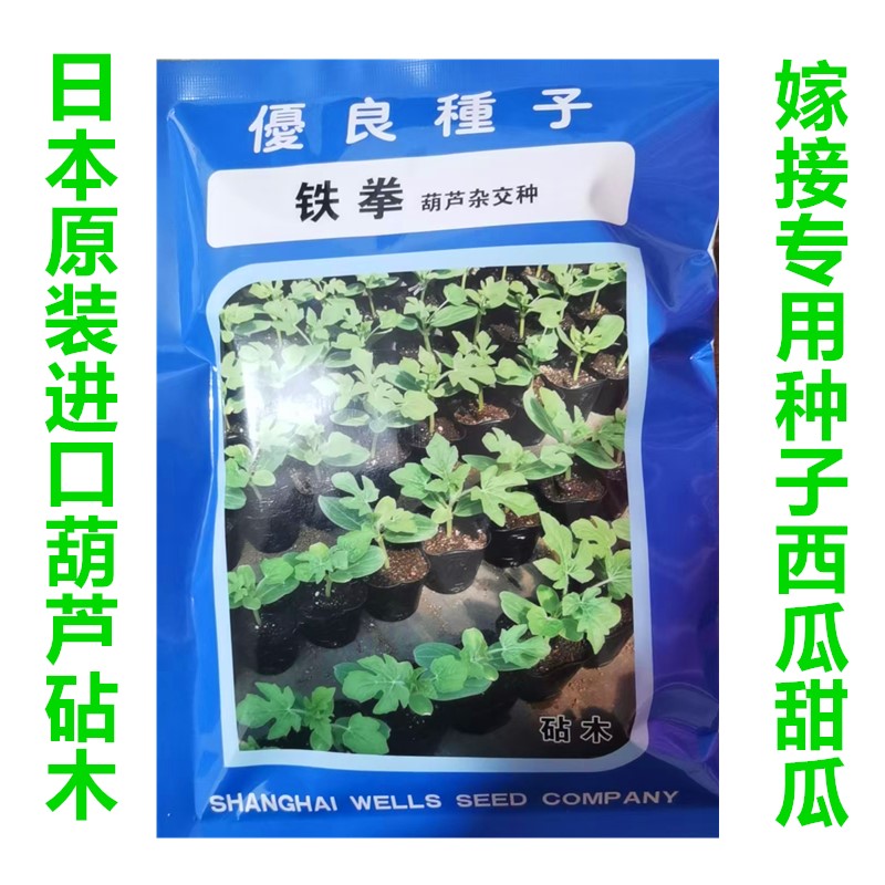 日本原装进口铁拳葫芦砧木种子籽