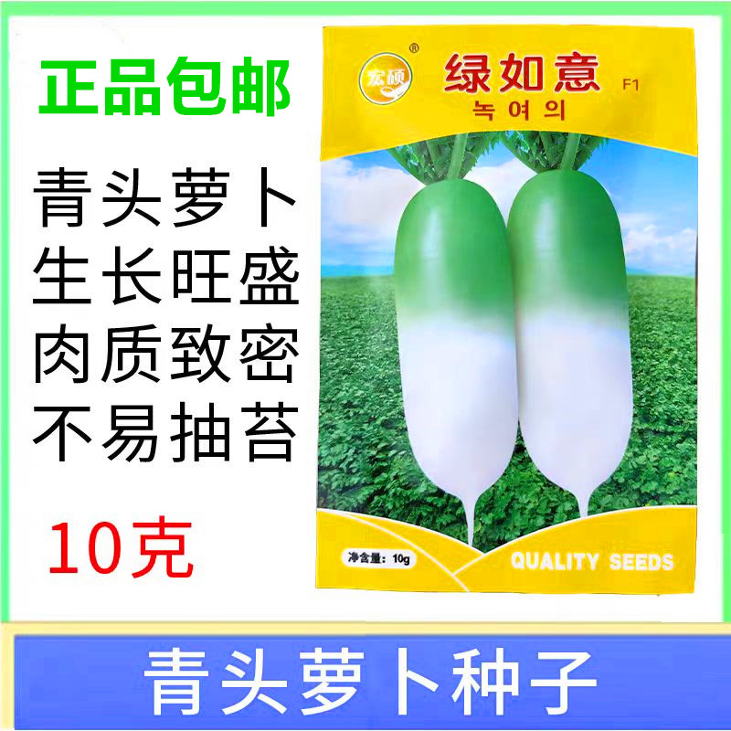 绿如意萝卜种子青头筒形生长甜脆