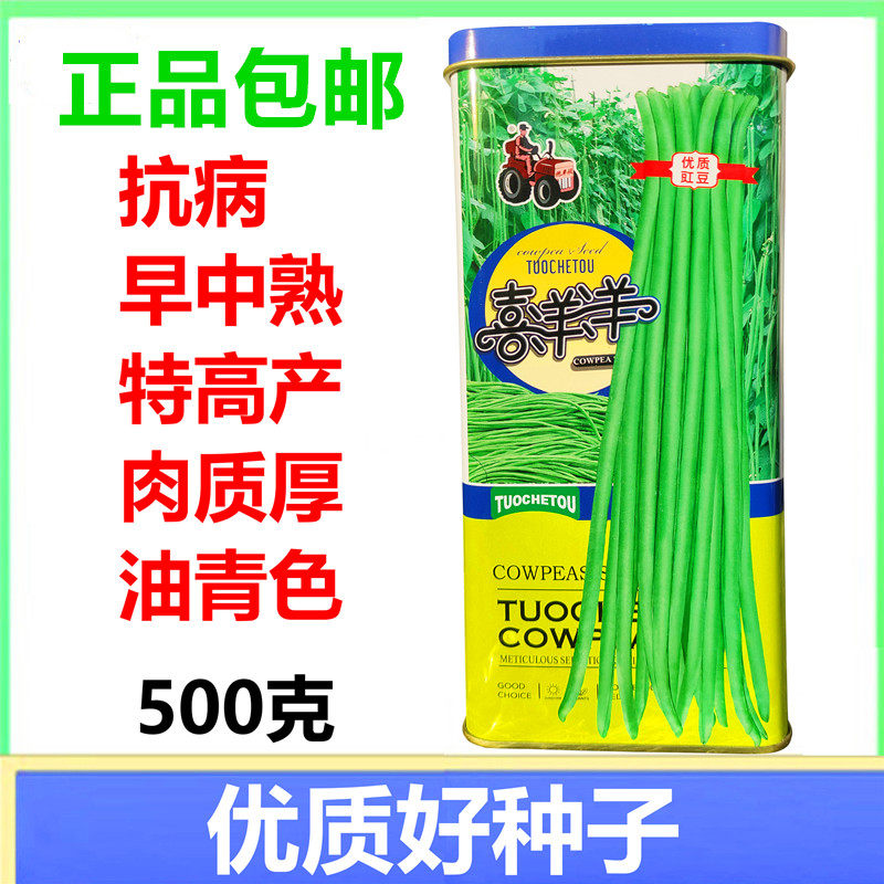 豆角种籽蔬菜绿色豇角种子拖车头