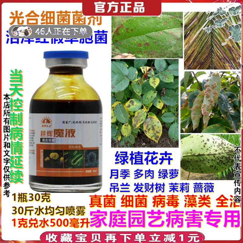 魔液家庭园艺绿植花卉真菌细菌病毒病全治月季蔷薇多肉光合细菌剂