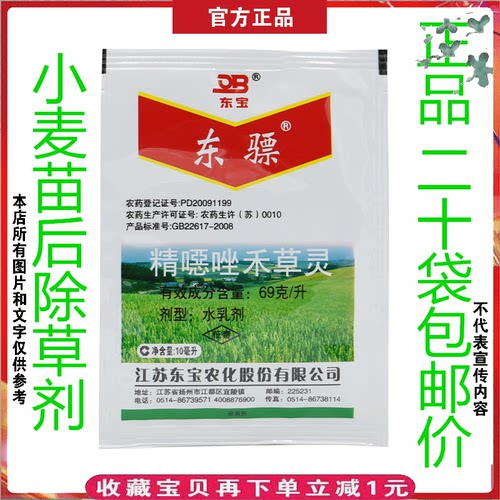 冬小麦地野燕麦看麦娘稗草马塘狗尾草除草剂精噁唑禾草灵大豆花生