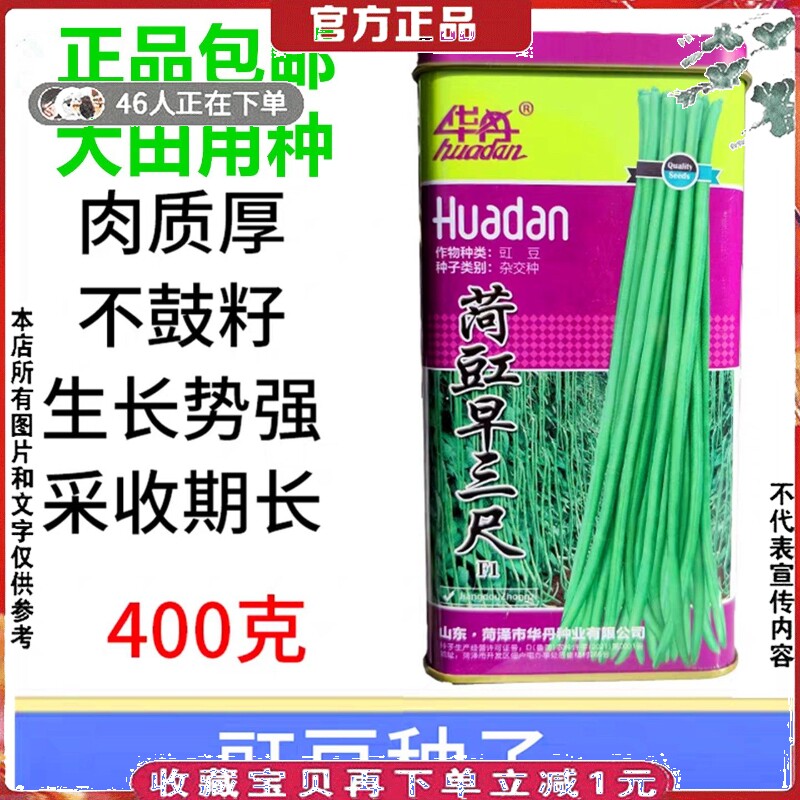 青豆角种籽菏豇早三尺豇豆种子肉质厚耐贮运采收期长江豆种子400g