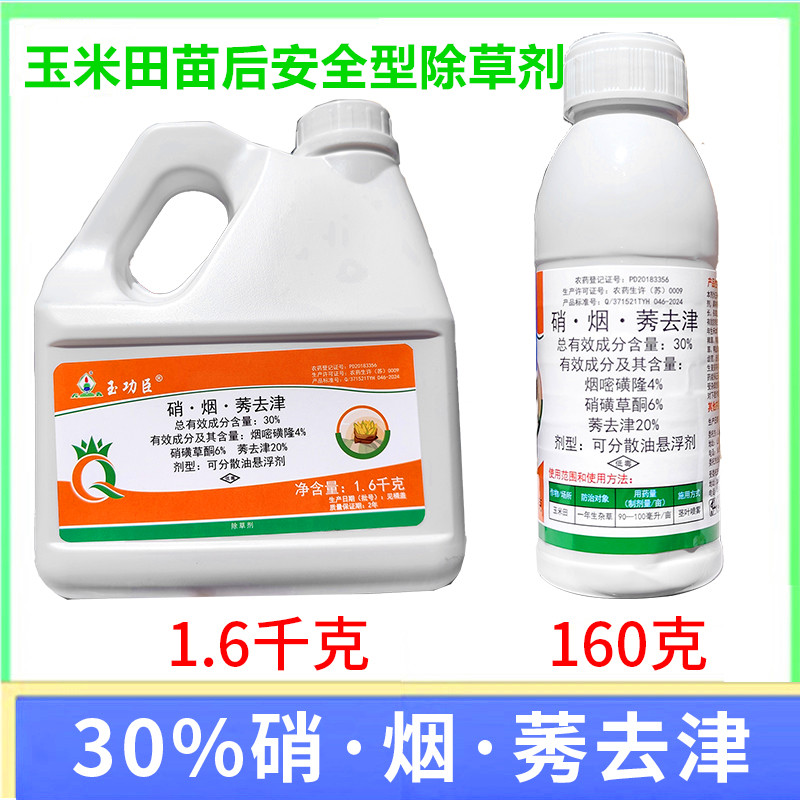 玉米苗后专用药除草剂长青牛筋草