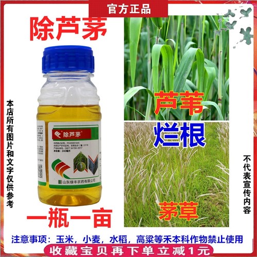 芦苇茅草除草药剂高效氟吡甲禾灵