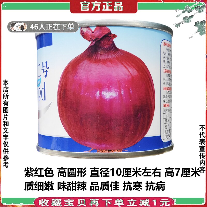 紫京2号洋葱种子明珠福星红皮洋葱种孑圆葱北道红高产红地球100g