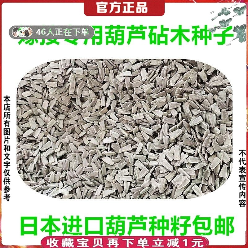 嫁接西瓜专用葫芦砧木种子散装胡卢种籽嫁接甜瓜用进口葫芦沾根木,农用物资,蔬菜种子/种苗,淘宝优惠券,粉丝福利购,淘宝优惠卷