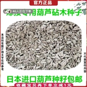 嫁接西瓜专用葫芦砧木种子散装 胡卢种籽嫁接甜瓜用进口葫芦沾根木