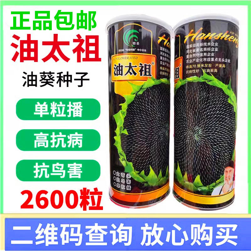 葵花种籽孑榨油太祖美国矮大头油葵种子200g向日葵种子葵花瓜子籽
