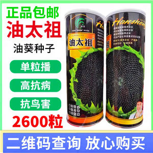 葵花种籽孑榨油太祖美国矮大头油葵种子200g向日葵种子葵花瓜子籽
