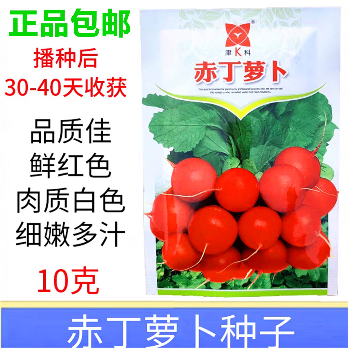红色小萝卜种子杂交耐寒春辣水果