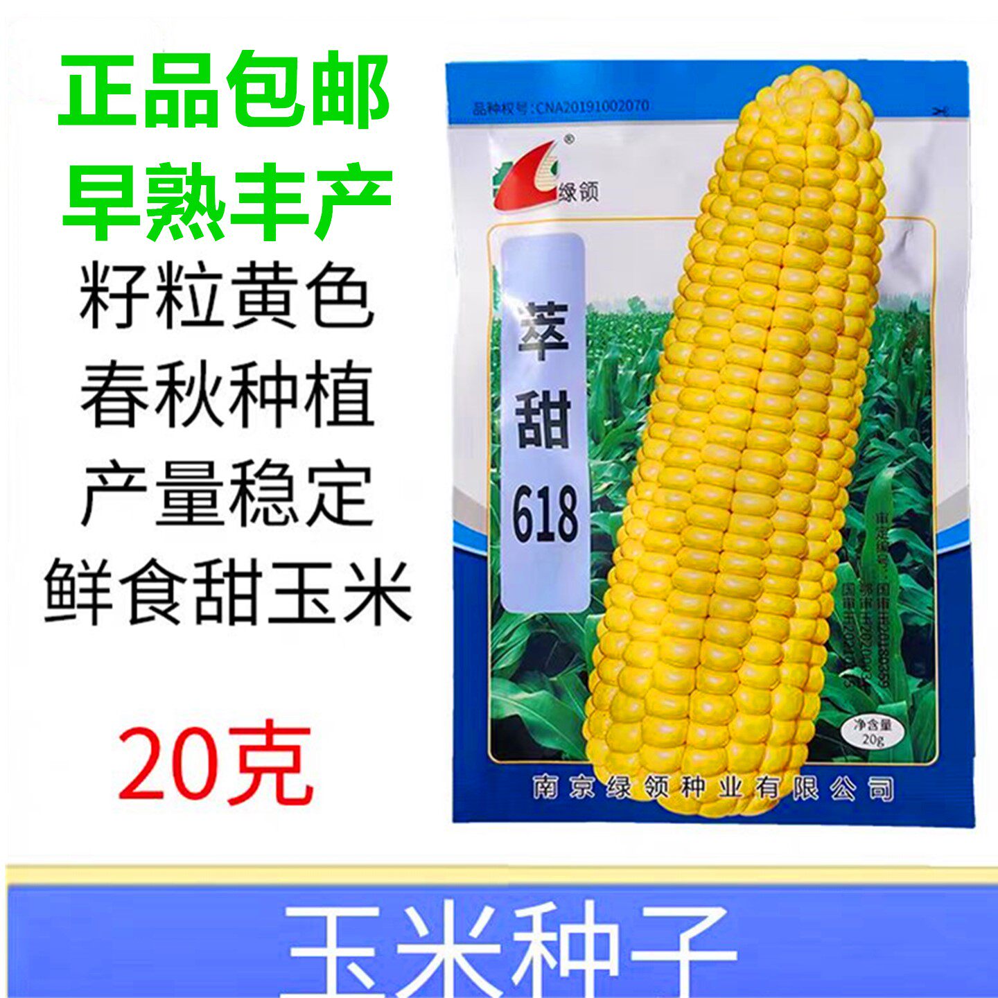 绿领黄玉米种子脆甜生吃鲜食高产