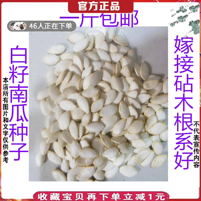 沾木杂交新鲜白籽南瓜种子种籽西瓜甜瓜黄瓜嫁接砧木抗病虫根系好,农用物资,蔬菜种子/种苗,淘宝优惠券,粉丝福利购,淘宝优惠卷