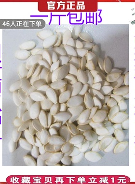 沾木杂交新鲜白籽南瓜种子种籽西瓜甜瓜黄瓜嫁接砧木抗病虫根系好