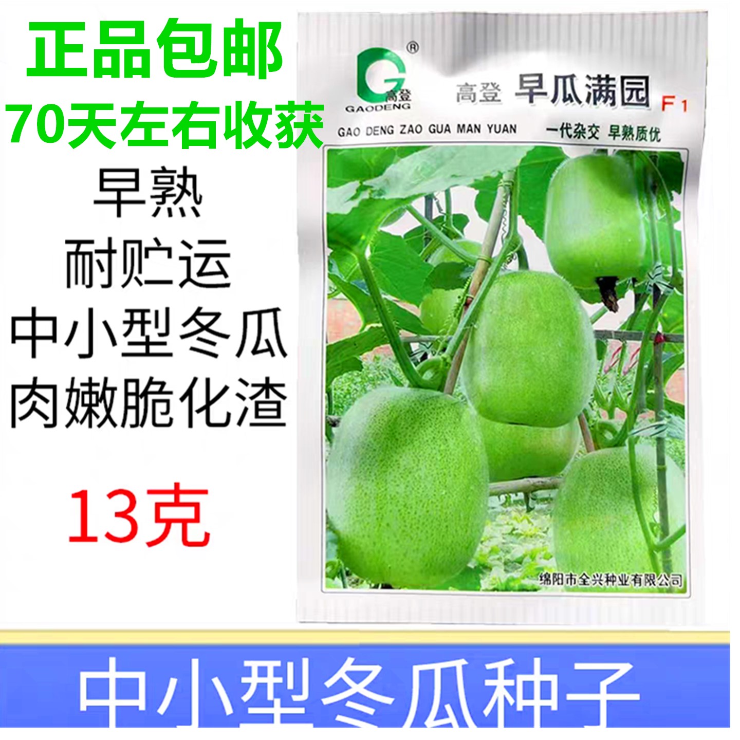 冬瓜种子中小型东瓜早熟耐运13g