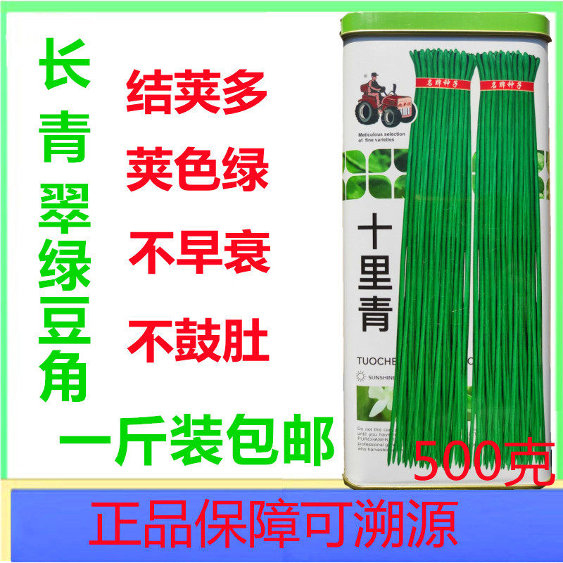 长豆角种籽孑十里青绿条蔬菜种籽豇豆种子豆角种籽种早熟丰产500g