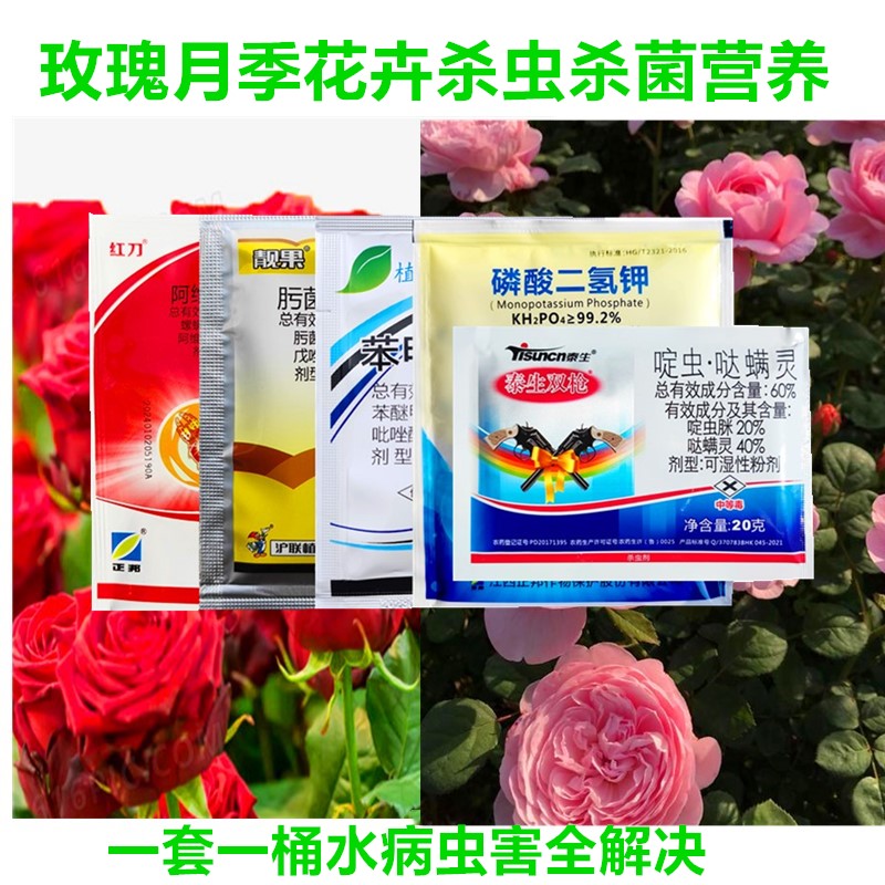 月季套装玫瑰花卉黑斑白粉病杀虫